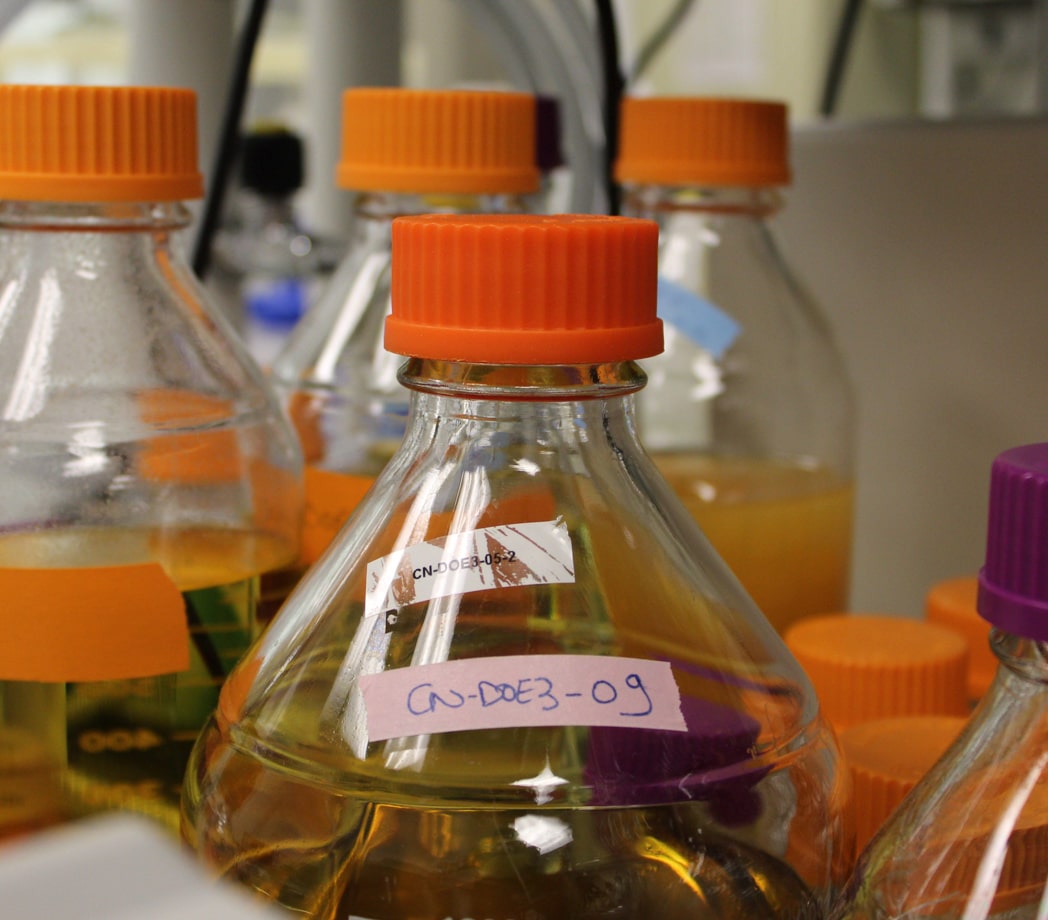 A world-class, organic chemistry lab